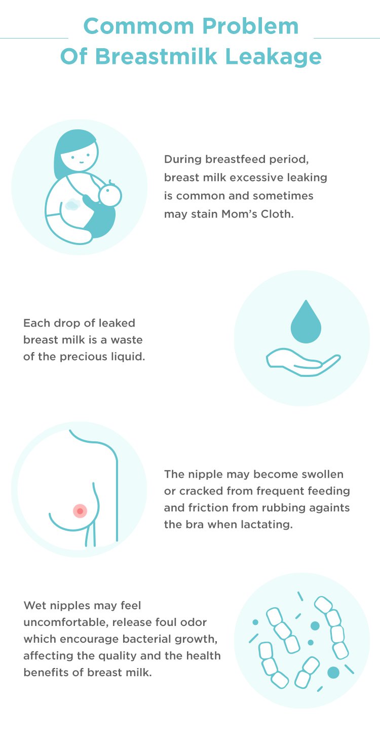 MOOIMOM New Breastmilk Collection Shell description image