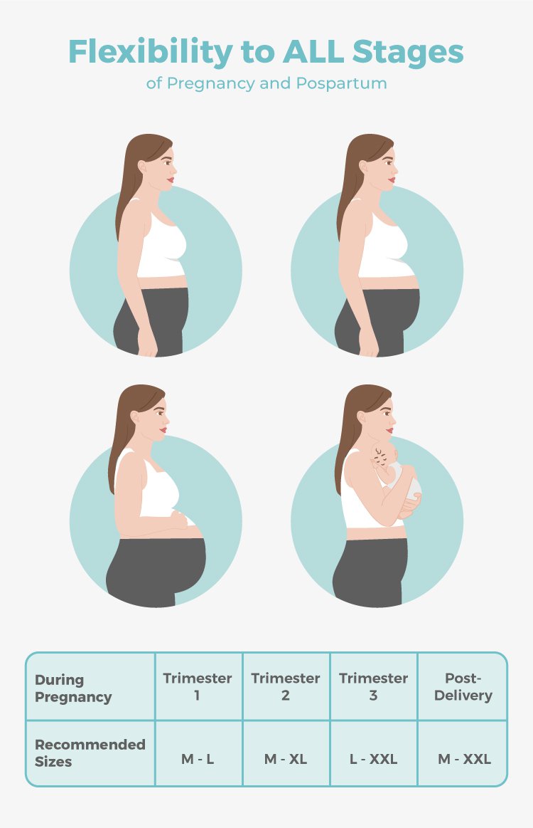 MOOIMOM Ulti Comfort Belly Cover Maternity Leggings (Short) description image