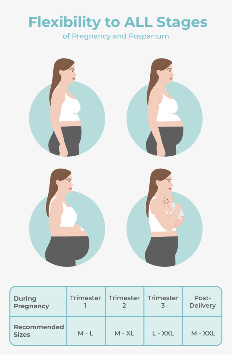 MOOIMOM Essential Belly Cover Maternity Legging (Short) description image